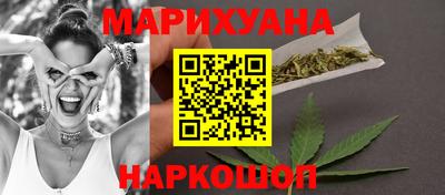 гидра Будённовск
