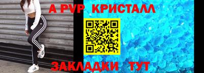 гидра Будённовск