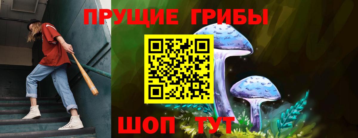 Галлюциногенные грибы прущие грибы Гулькевичи